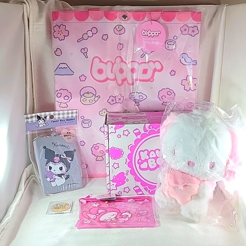 KAWAII subscription box exclusive Sanrio Characters set